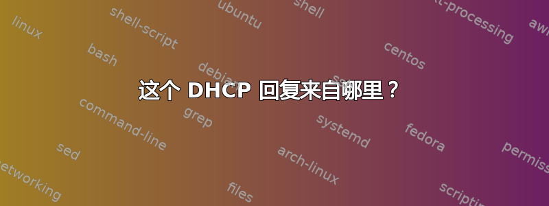 这个 DHCP 回复来自哪里？