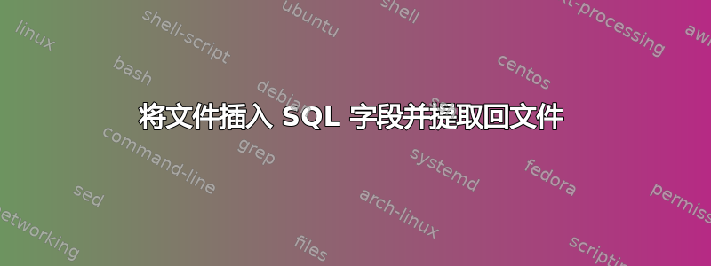 将文件插入 SQL 字段并提取回文件