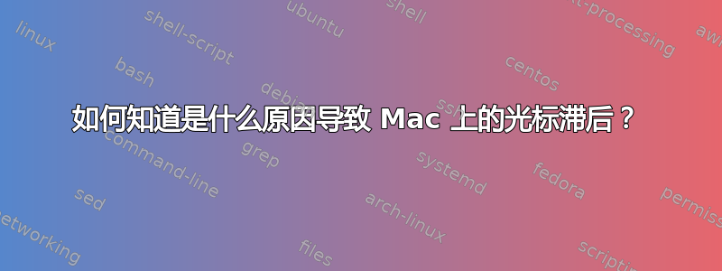 如何知道是什么原因导致 Mac 上的光标滞后？