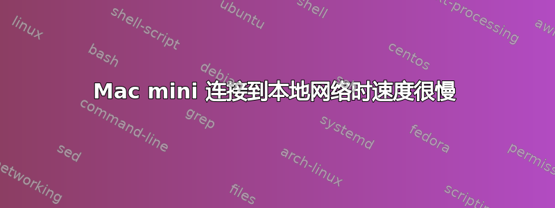 Mac mini 连接到本地网络时速度很慢