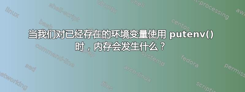 当我们对已经存在的环境变量使用 putenv() 时，内存会发生什么？