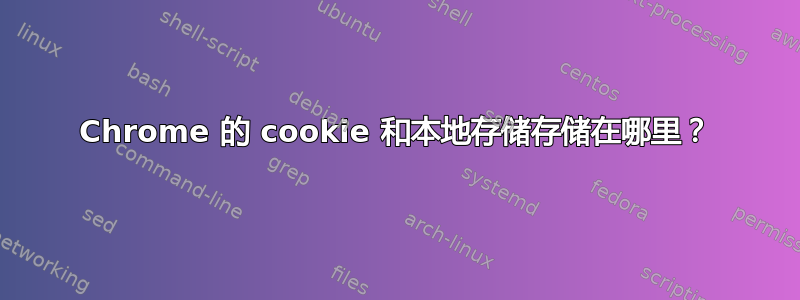 Chrome 的 cookie 和本地存储存储在哪里？