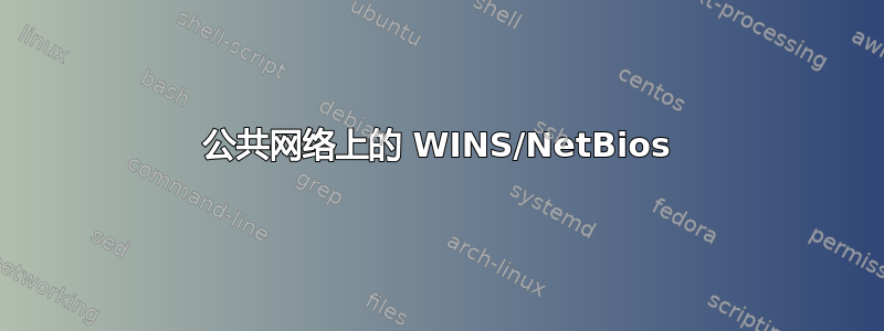 公共网络上的 WINS/NetBios