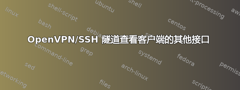 OpenVPN/SSH 隧道查看客户端的其他接口