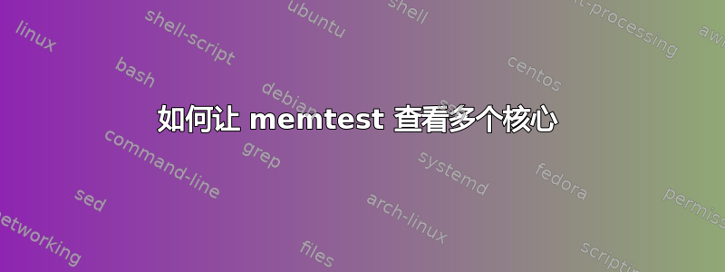 如何让 memtest 查看多个核心