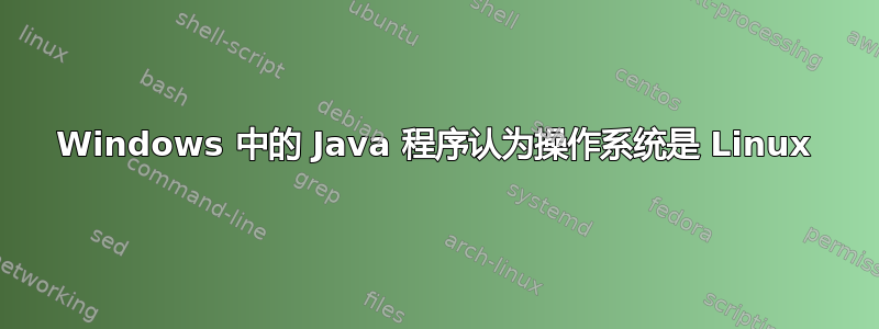 Windows 中的 Java 程序认为操作系统是 Linux