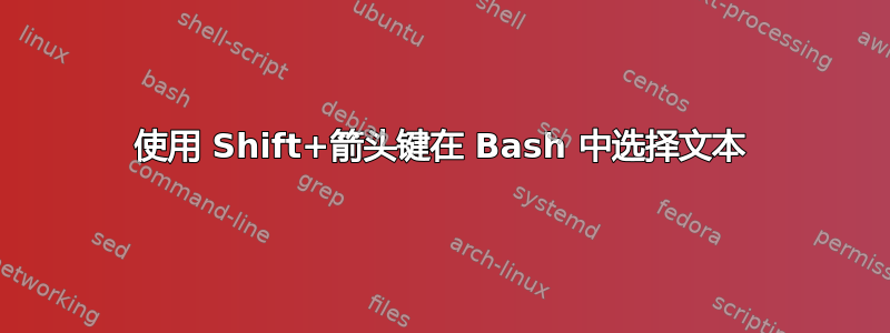 使用 Shift+箭头键在 Bash 中选择文本