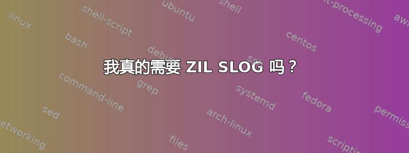 我真的需要 ZIL SLOG 吗？