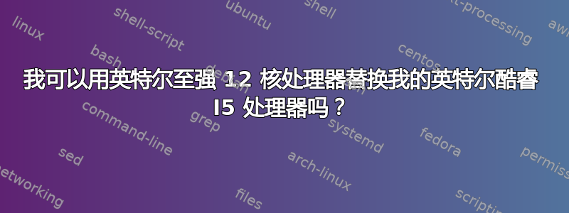 我可以用英特尔至强 12 核处理器替换我的英特尔酷睿 I5 处理器吗？