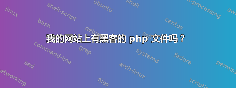 我的网站上有黑客的 php 文件吗？