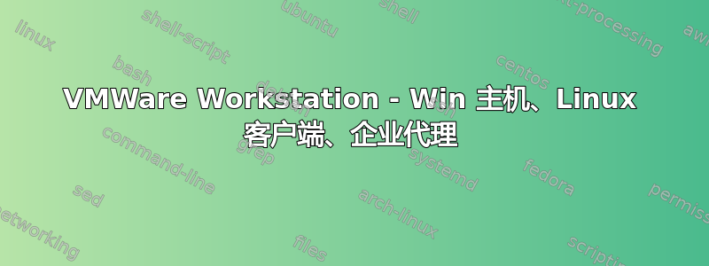 VMWare Workstation - Win 主机、Linux 客户端、企业代理