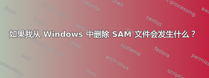 如果我从 Windows 中删除 SAM 文件会发生什么？