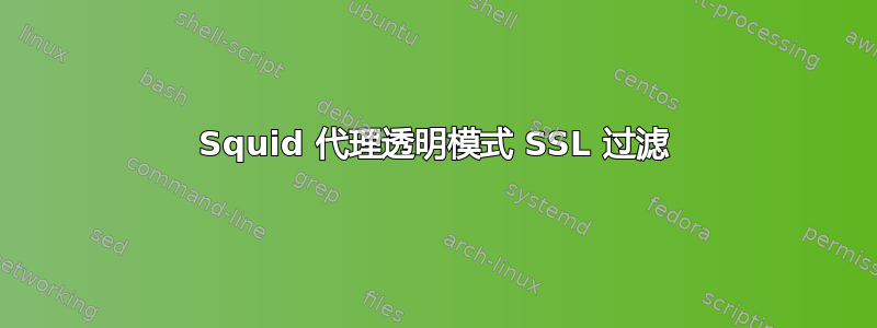 Squid 代理透明模式 SSL 过滤