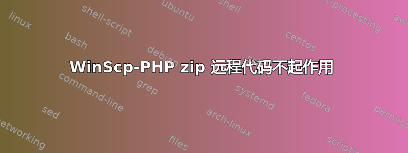 WinScp-PHP zip 远程代码不起作用