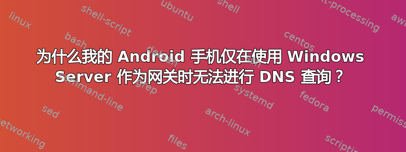 为什么我的 Android 手机仅在使用 Windows Server 作为网关时无法进行 DNS 查询？