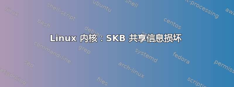 Linux 内核：SKB 共享信息损坏