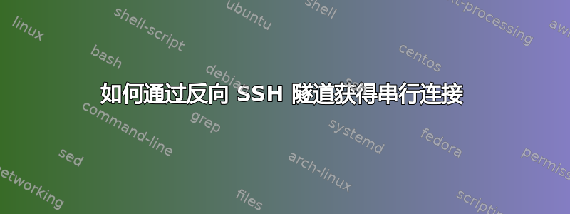 如何通过反向 SSH 隧道获得串行连接