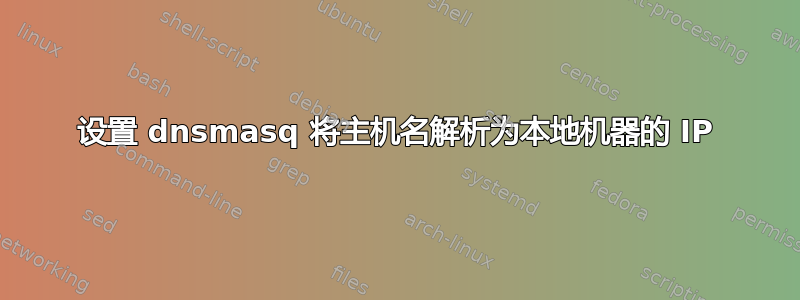 设置 dnsmasq 将主机名解析为本地机器的 IP