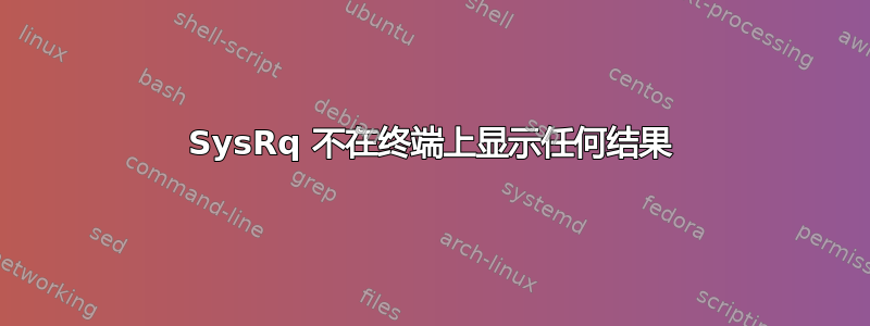 SysRq 不在终端上显示任何结果