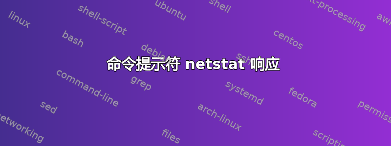 命令提示符 netstat 响应