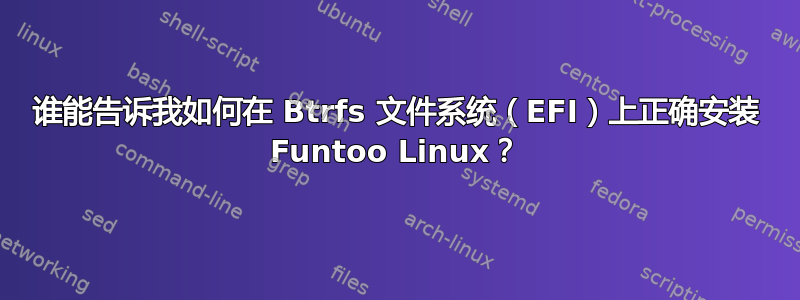 谁能告诉我如何在 Btrfs 文件系统（EFI）上正确安装 Funtoo Linux？