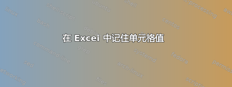 在 Excel 中记住单元格值 