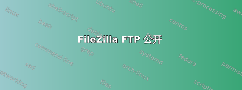 FileZilla FTP 公开