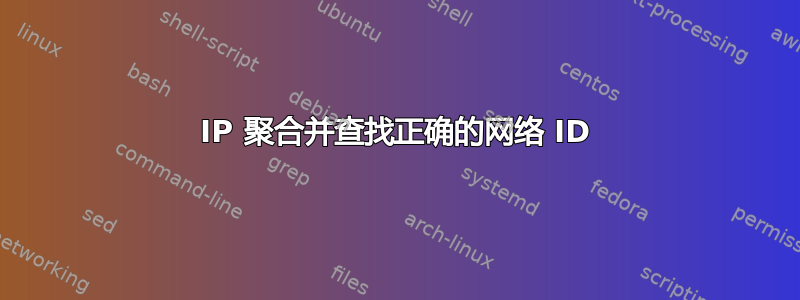 IP 聚合并查找正确的网络 ID