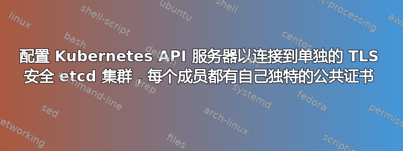 配置 Kubernetes API 服务器以连接到单独的 TLS 安全 etcd 集群，每个成员都有自己独特的公共证书