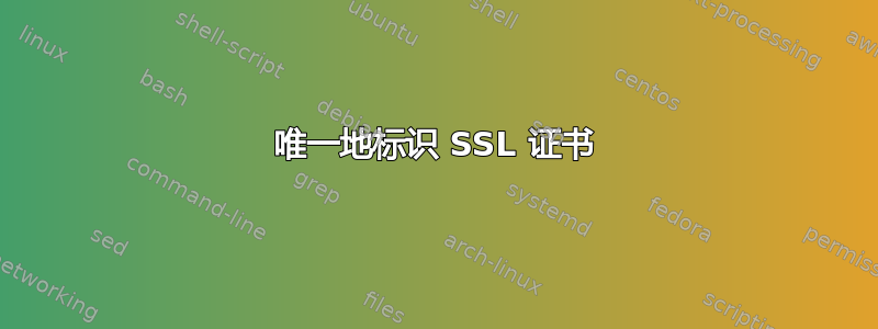 唯一地标识 SSL 证书