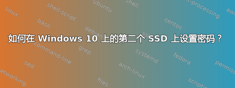 如何在 Windows 10 上的第二个 SSD 上设置密码？