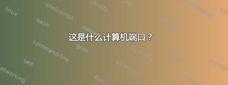 这是什么计算机端口？ 