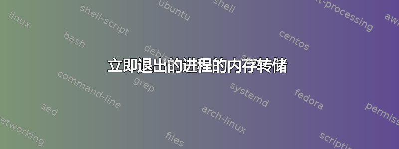 立即退出的进程的内存转储