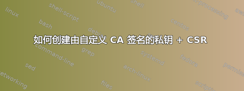 如何创建由自定义 CA 签名的私钥 + CSR