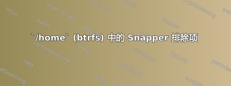 `/home` (btrfs) 中的 Snapper 排除项