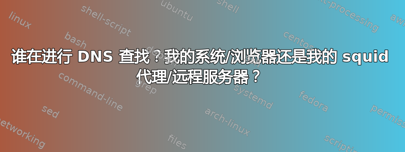 谁在进行 DNS 查找？我的系统/浏览器还是我的 squid 代理/远程服务器？