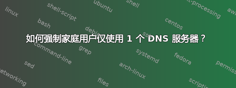 如何强制家庭用户仅使用 1 个 DNS 服务器？