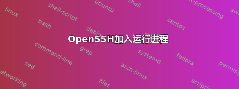 OpenSSH加入运行进程