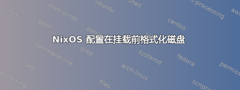 NixOS 配置在挂载前格式化磁盘