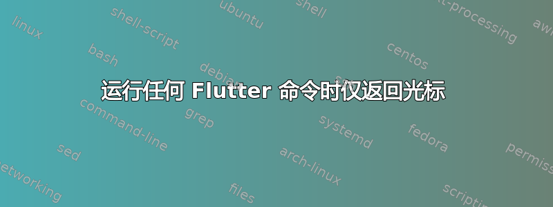 运行任何 Flutter 命令时仅返回光标