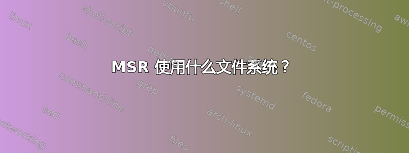 MSR 使用什么文件系统？