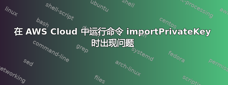 在 AWS Cloud 中运行命令 importPrivateKey 时出现问题