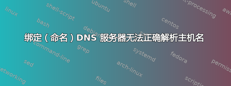 绑定（命名）DNS 服务器无法正确解析主机名