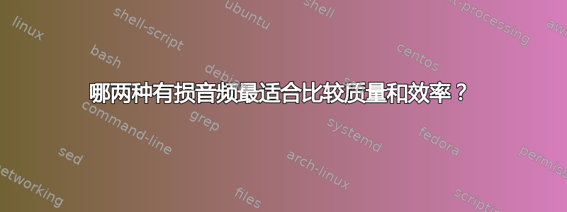 哪两种有损音频最适合比较质量和效率？