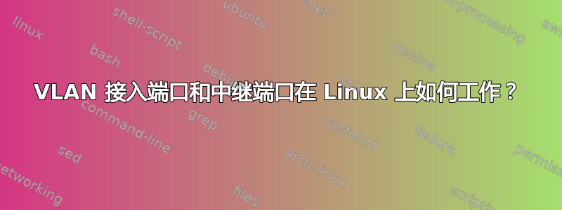 VLAN 接入端口和中继端口在 Linux 上如何工作？