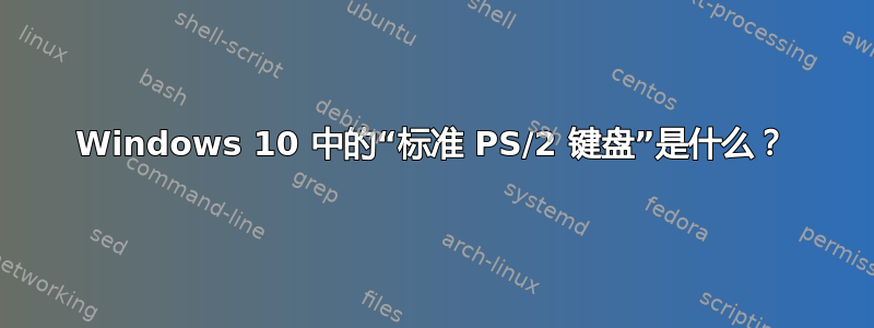 Windows 10 中的“标准 PS/2 键盘”是什么？