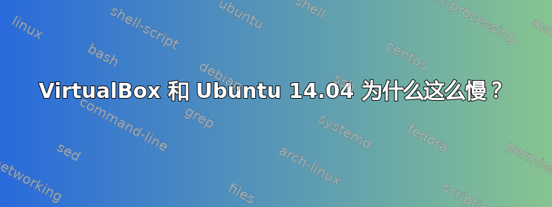 VirtualBox 和 Ubuntu 14.04 为什么这么慢？