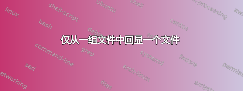 仅从一组文件中回显一个文件