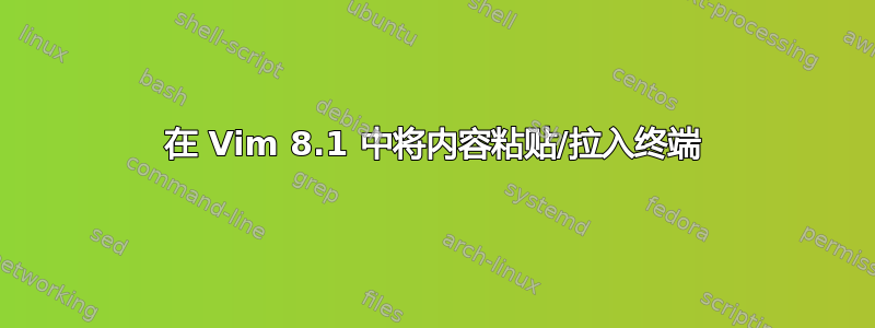 在 Vim 8.1 中将内容粘贴/拉入终端