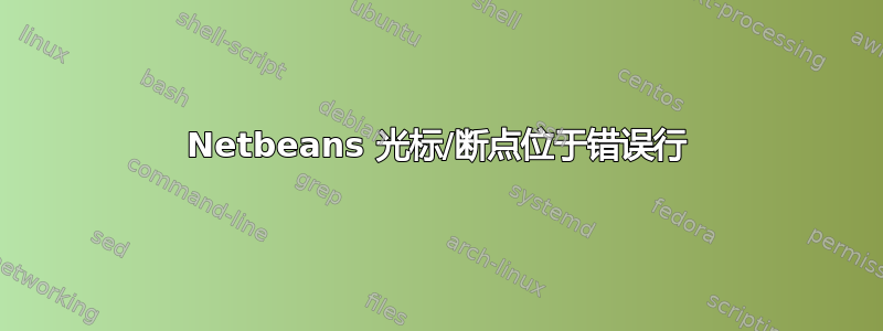 Netbeans 光标/断点位于错误行